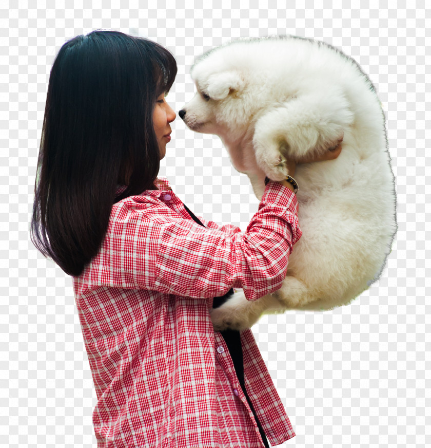 Woman Playing With A Puppy Dog Samoyed Dogu2013cat Relationship PNG
