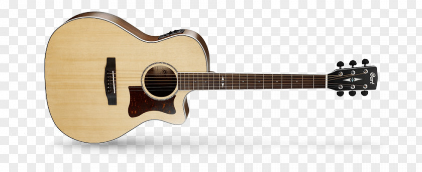 Acoustic Guitar Twelve-string Steel-string Cort Guitars Acoustic-electric PNG