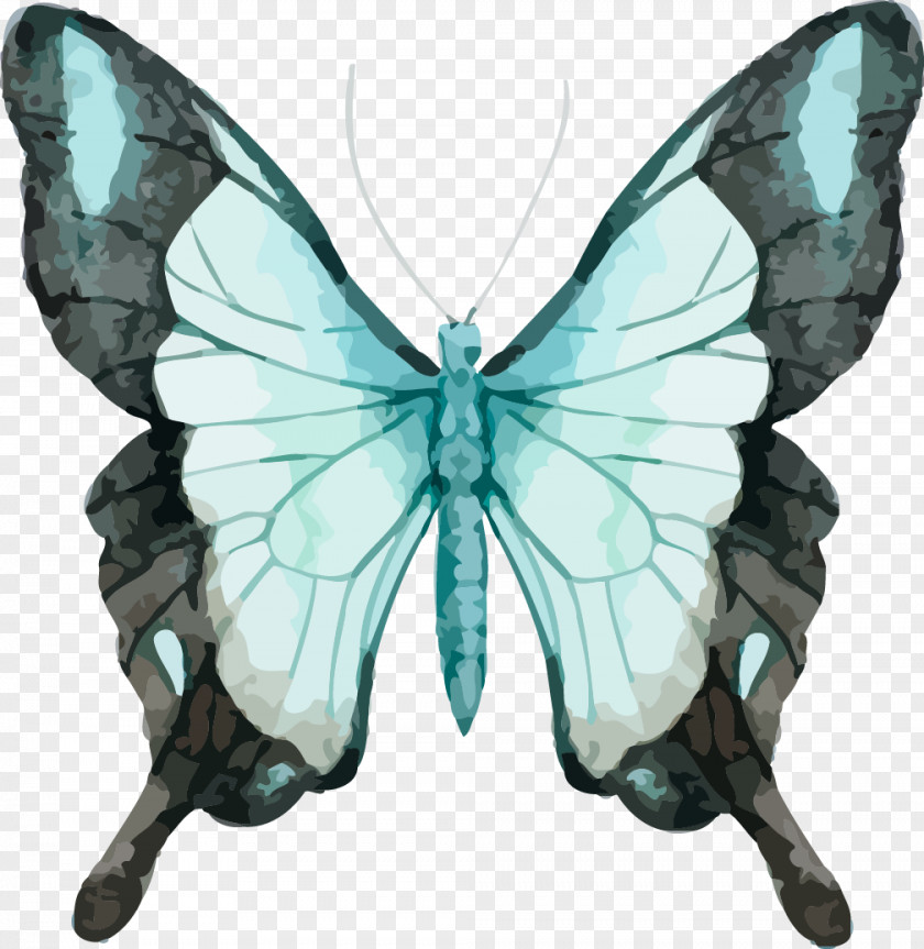 Beautiful Vector Butterfly Watercolor Painting Stock Photography Royalty-free PNG