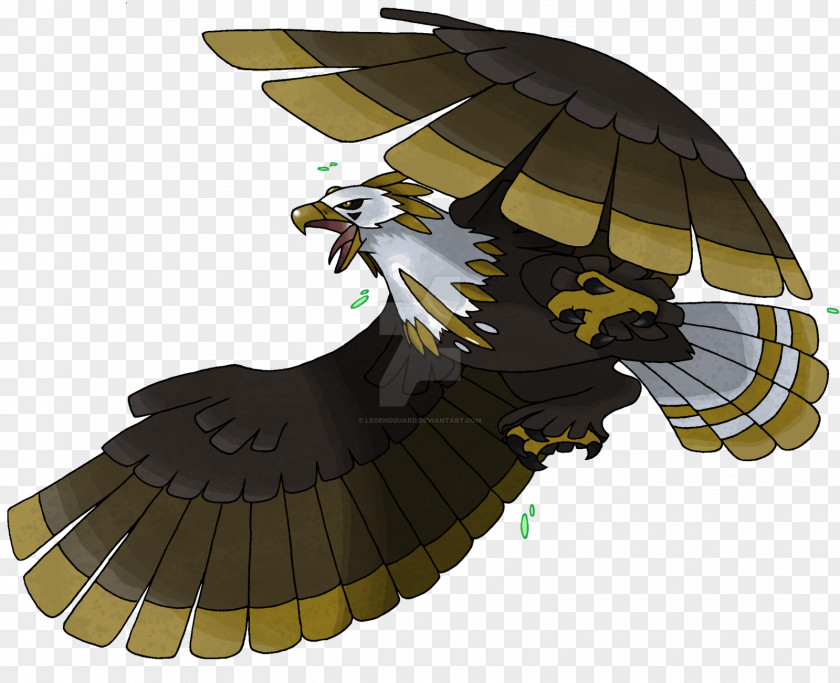 Golden Eagle Vs Bald Anna Fritz Image Bird PNG