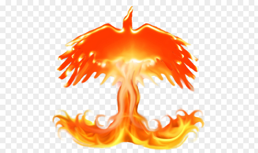 Hawk Fire Flame Logo Wiki PNG
