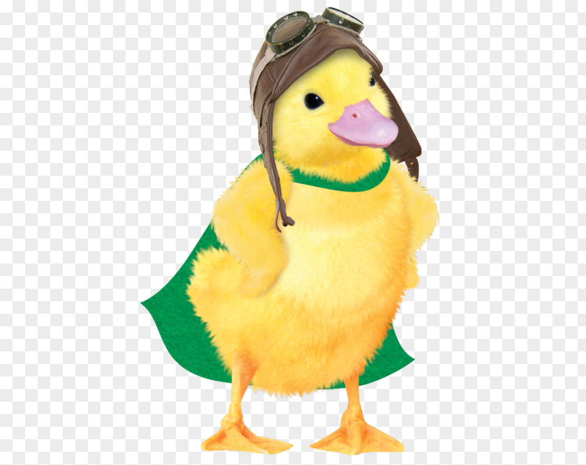 Little Yellow Duck Ming-Ming Duckling Linny The Guinea Pig Turtle Tuck Pet Nick Jr. PNG
