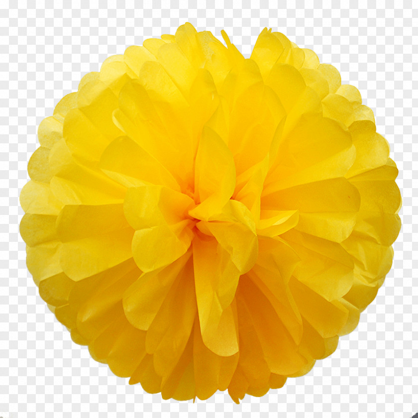 Pictures Of Cheerleading Pom Poms Paper Pom-pom Yellow GRUPO GALDIAZ Color PNG