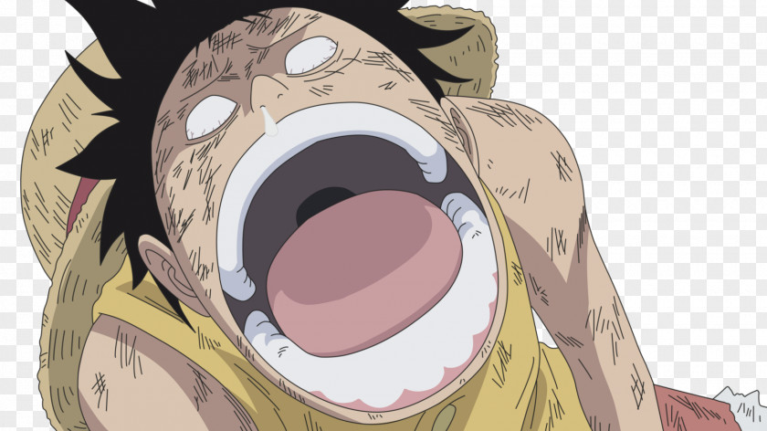 Ace Monkey D. Luffy Vinsmoke Sanji Roronoa Zoro Portgas One Piece PNG