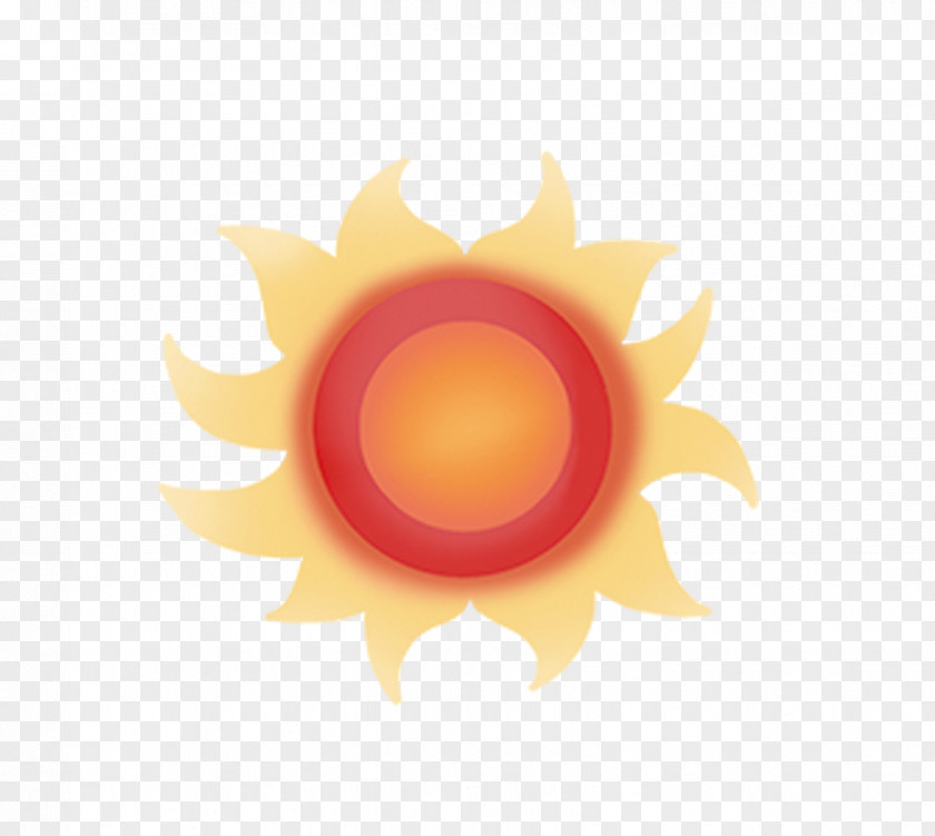 Cartoon Sun Circle Wallpaper PNG