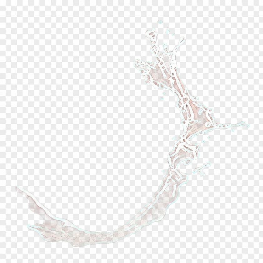 Drawing Branch White Background PNG