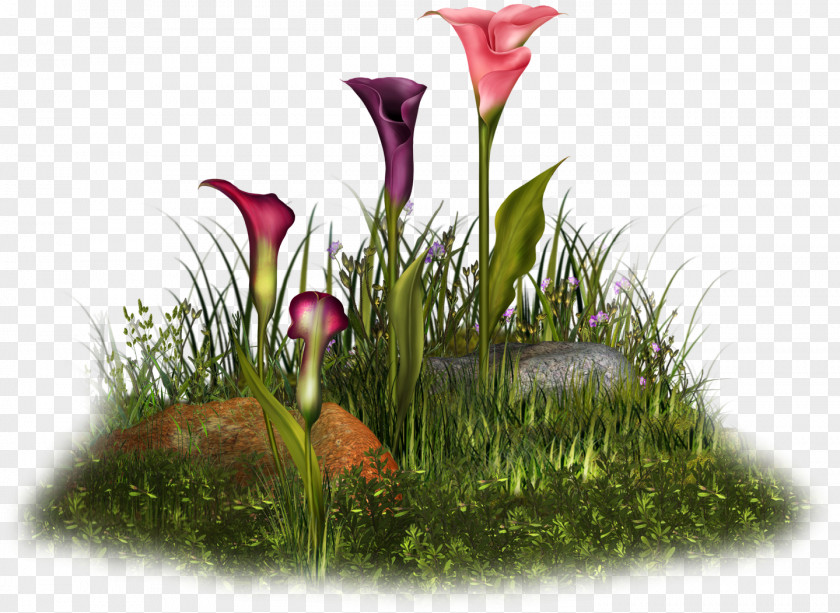 Flower Floral Design Final Fantasy II Floristry Petal PNG