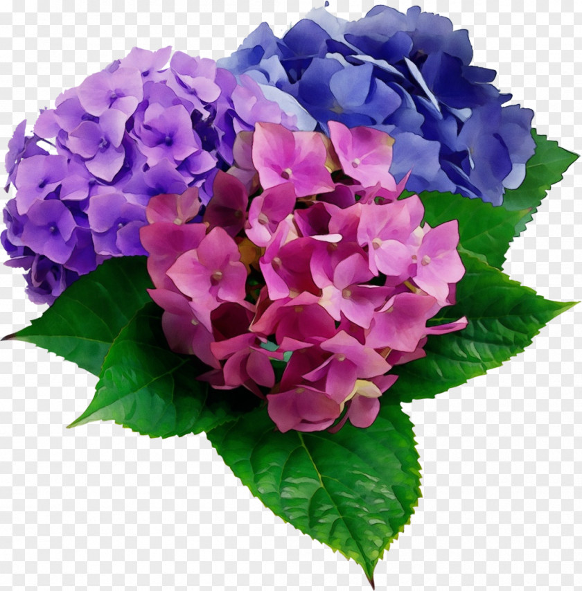 Lantana Bouquet Purple Watercolor Flower PNG