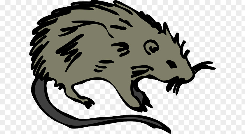 Mouse Brown Rat Rodent Clip Art Laboratory PNG