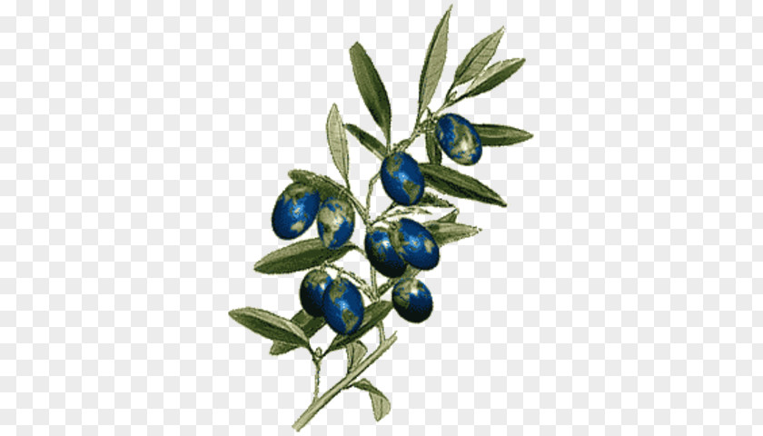 Olive Branch Petition Boston Massacre Laugh Your Head Off Bilberry Colony PNG
