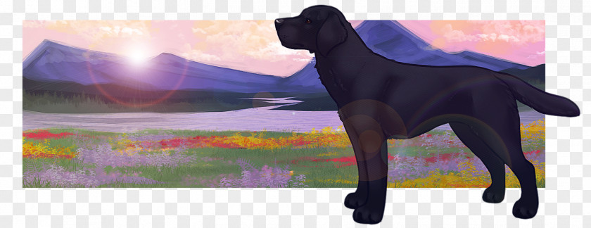 Puppy Labrador Retriever Flat-coated Dog Breed PNG
