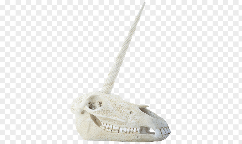 Skull Bone Human Skeleton Horn PNG