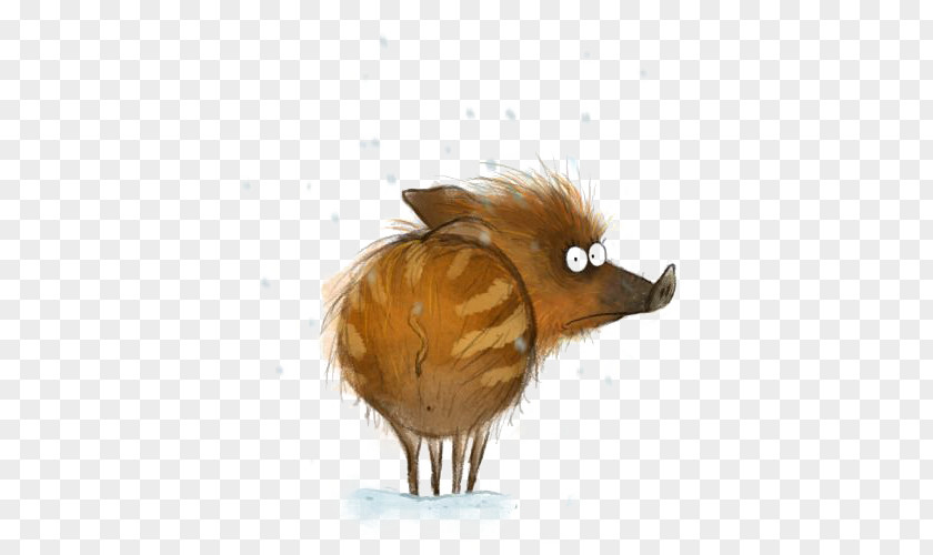 Boar Drawing Illustrator Model Sheet Illustration PNG