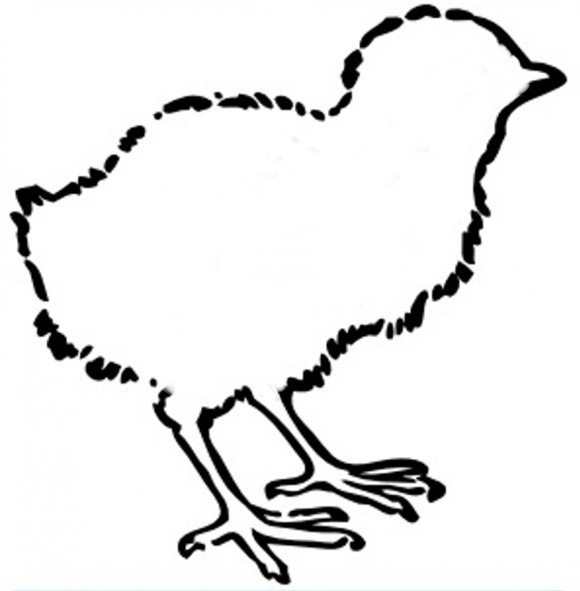 Chicken Outline Kifaranga Clip Art PNG