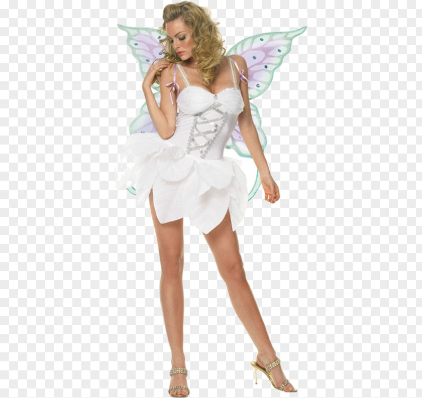 Fairy Dress Costume Party Clothing Christmas Day PNG