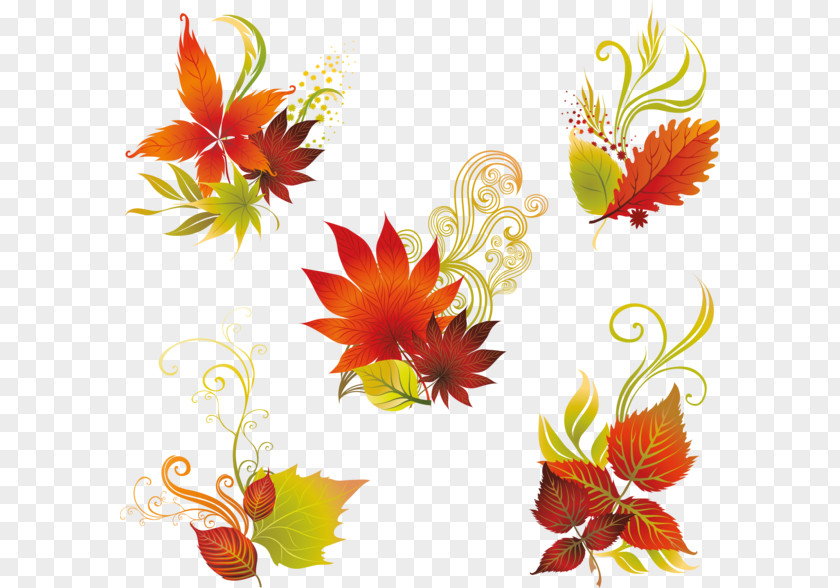 Leaf Floral Design PNG