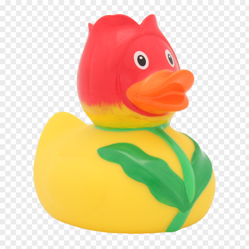 Rubber Duck Material DUCKSHOP Tulip PNG