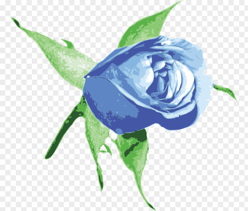 Blue Rose Best Roses Clip Art PNG