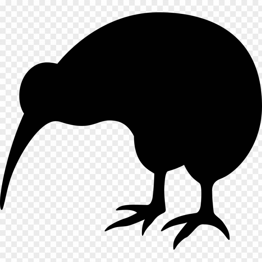 Kiwi New Zealand Bird T-shirt Wild Boar PNG