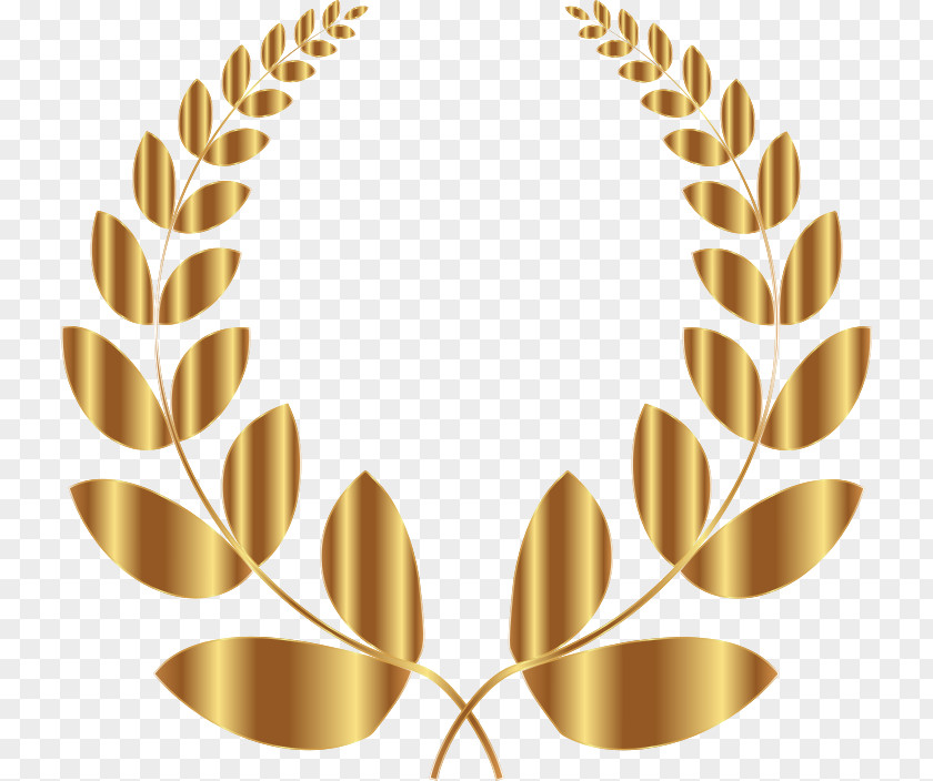 Laurel Wreath Bay Clip Art PNG