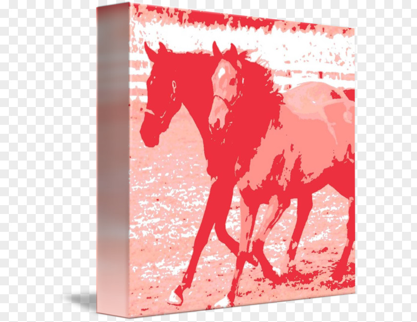 Mustang Greeting & Note Cards Text Post PNG