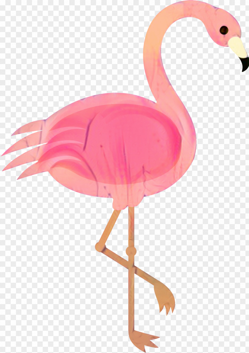 Flamingo Illustration Drawing Image PNG