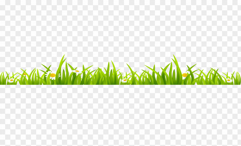 Green Grass Watercolor Painting PNG