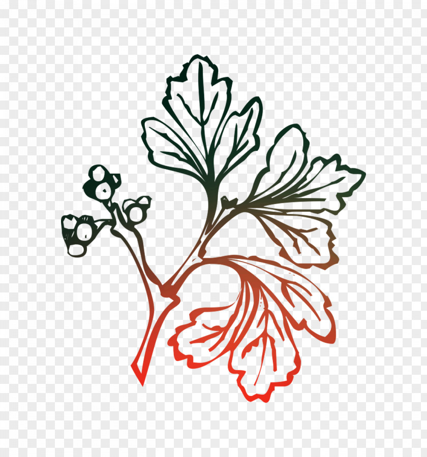 Leaf Azzio Clip Art Plant Stem PNG