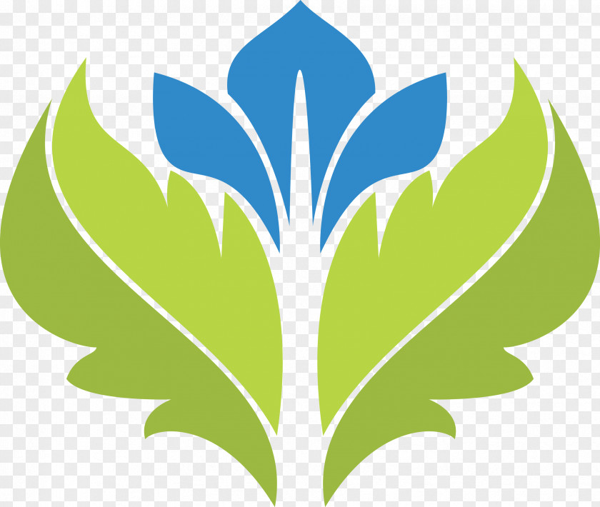 Leaf Petal Symbol Plant Stem PNG