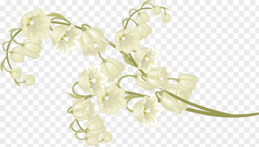 Lily Of The Valley Blog 1 May PNG