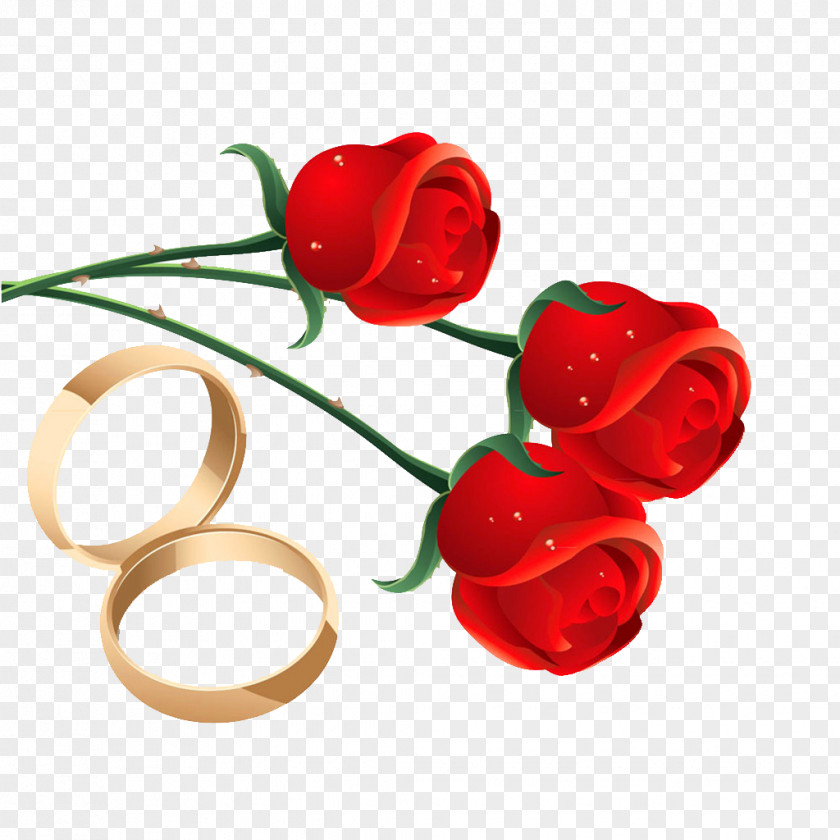 Rose Engagement Ring Vector Material Wedding PNG