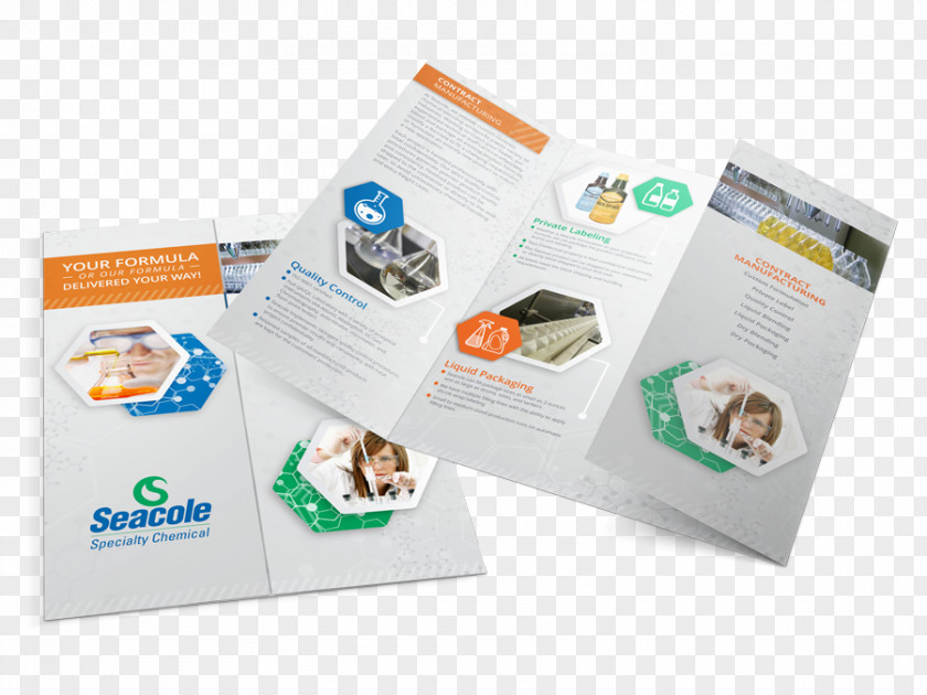 Brochure Mockup Logo Service PNG