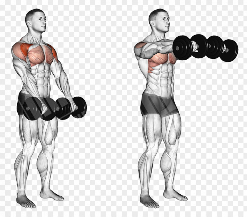 Dumbbell Front Raise Overhead Press Fly Exercise PNG