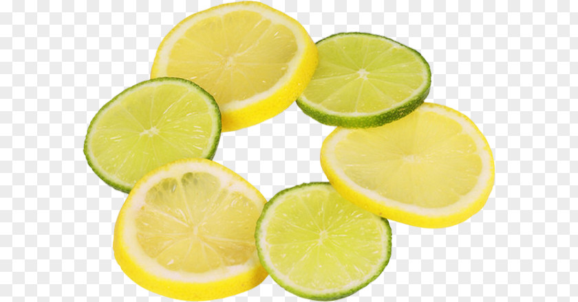 Lemon Lime Lemon-lime Drink Key Persian PNG