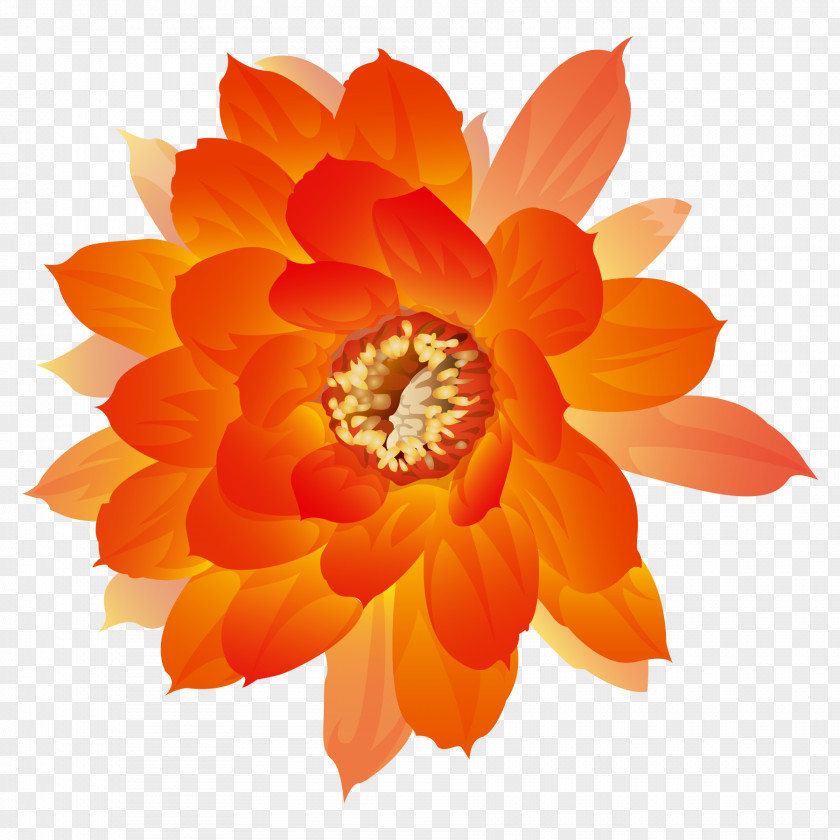 Orange Flowers Bloom Watercolor Painting Icon PNG