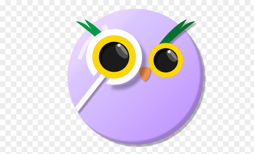 Owl Magnifier Download Cartoon Icon PNG