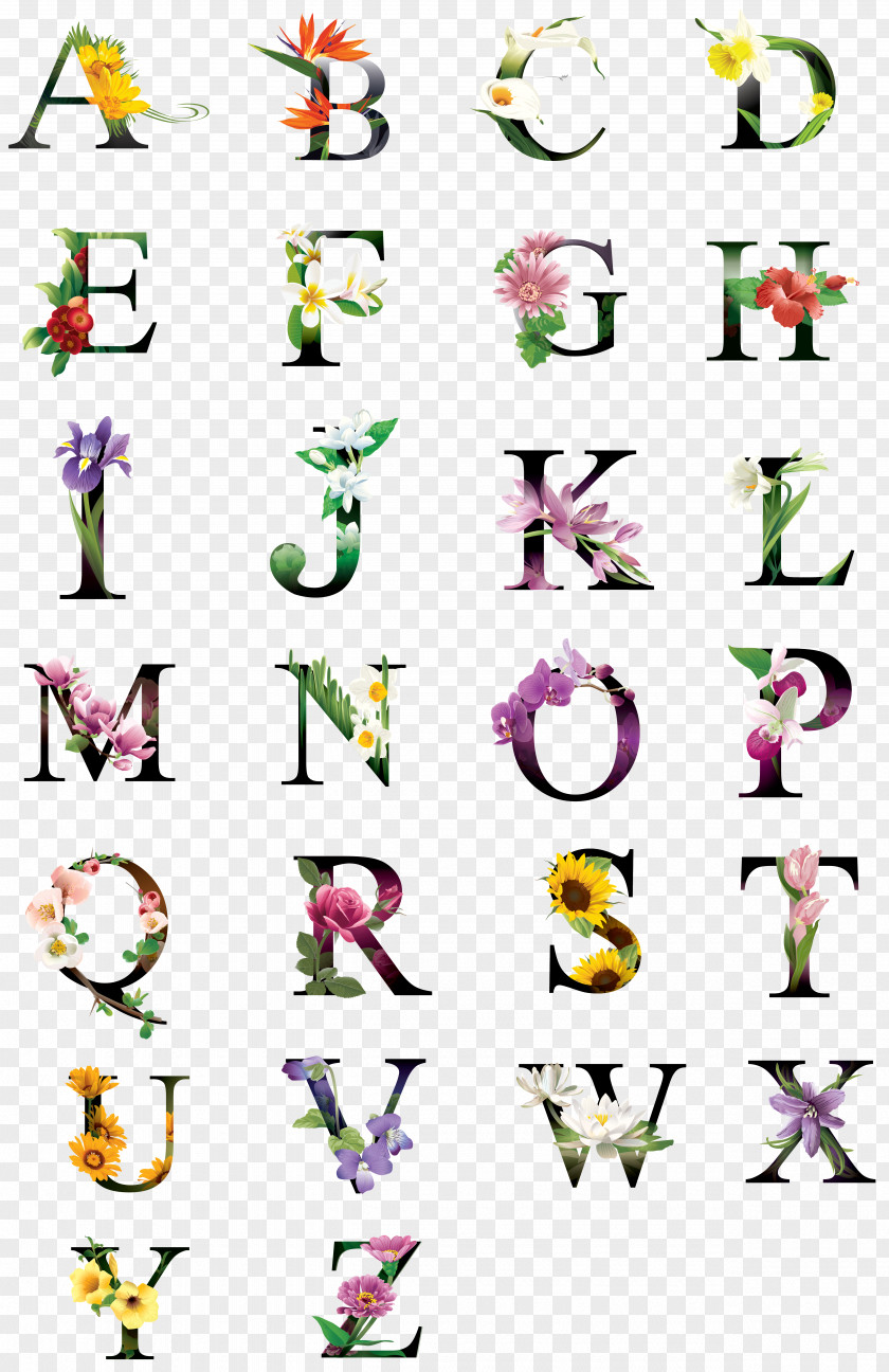 Alphabet Collection ABC's Lowercase Clip Art PNG