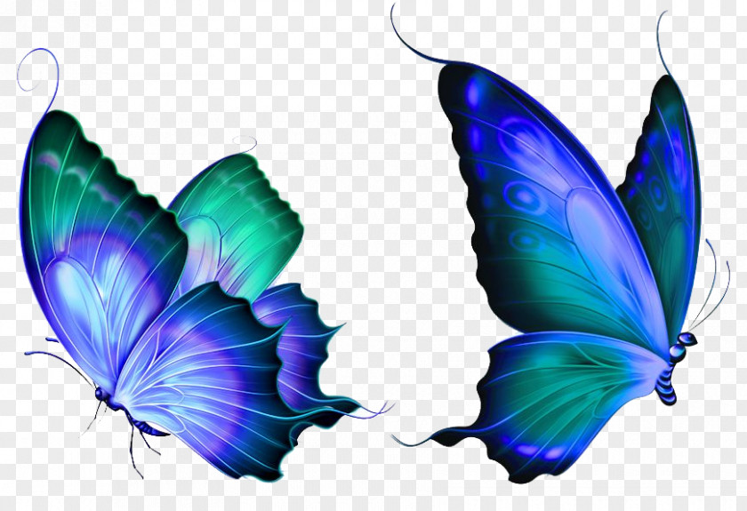 Butterfly Dream Clip Art PNG