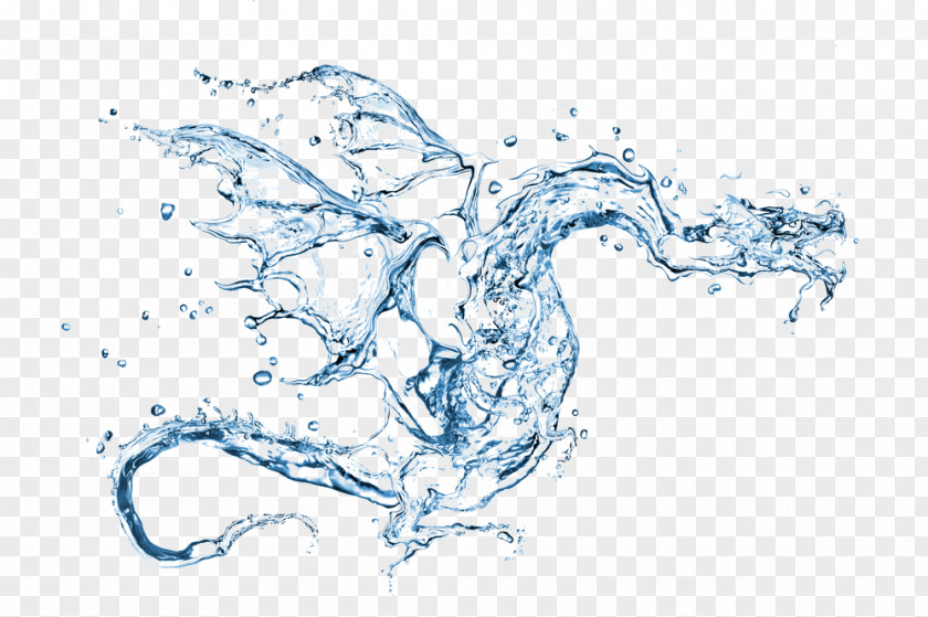 Chinese Dragon Water Stock Photography Royalty-free PNG