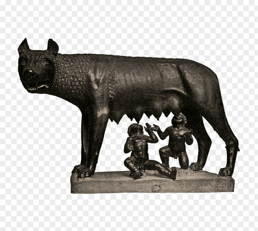 Italy Capitoline Wolf Ancient Rome Tiber Romulus And Remus PNG