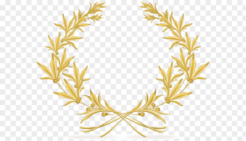 Olive Wreath Laurel Branch PNG