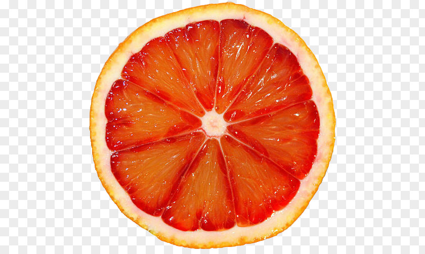 Orange Grapefruit Information PNG