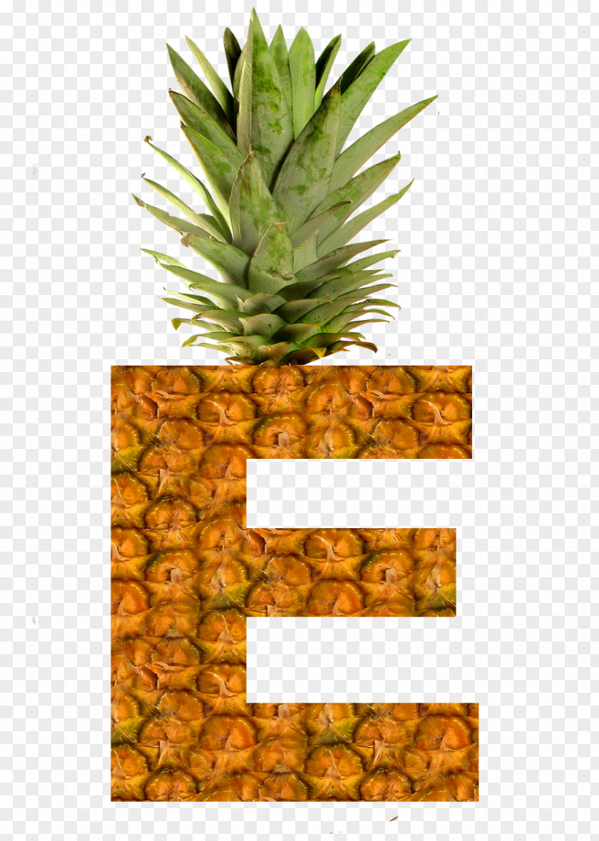 Pineapple Succade Fruit Buddha's Hand Pizza PNG