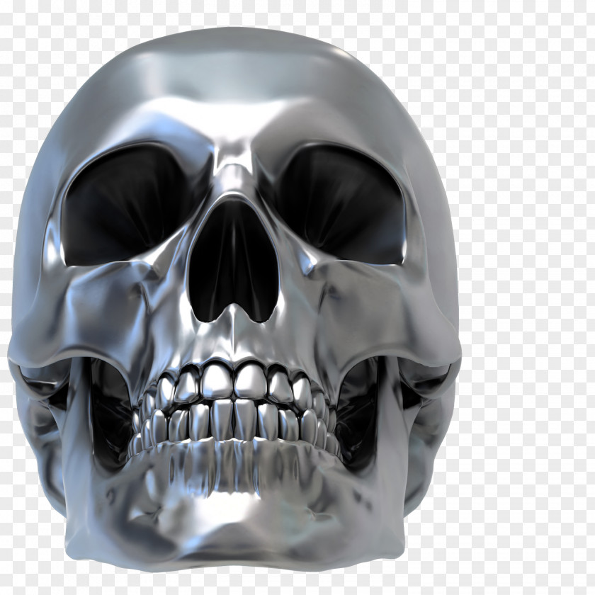 Skulls Skull Human Skeleton Drawing PNG