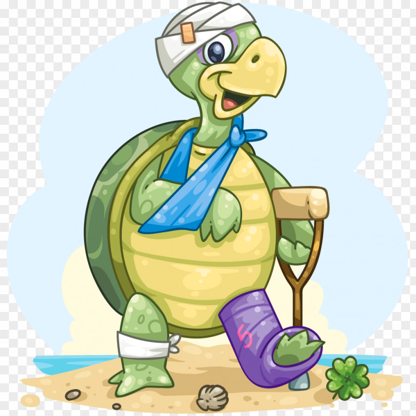 Tortoise Turtle Moped Clip Art PNG