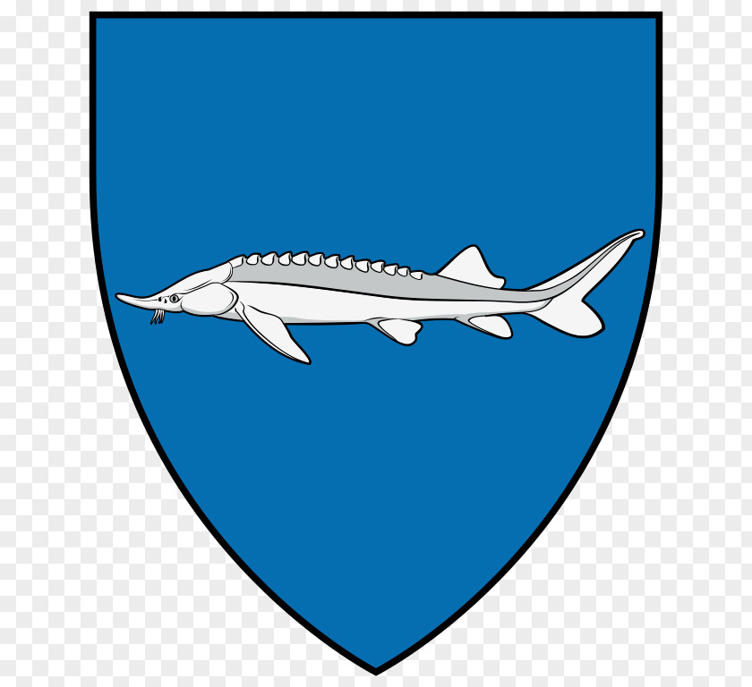 Town Fish Tiszakeszi Shark Coat Of Arms Chondrichthyes PNG