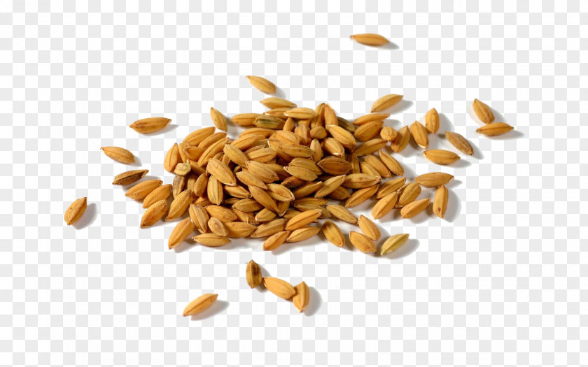Wheat Rice Gadu Paddy Field Seed Huller PNG
