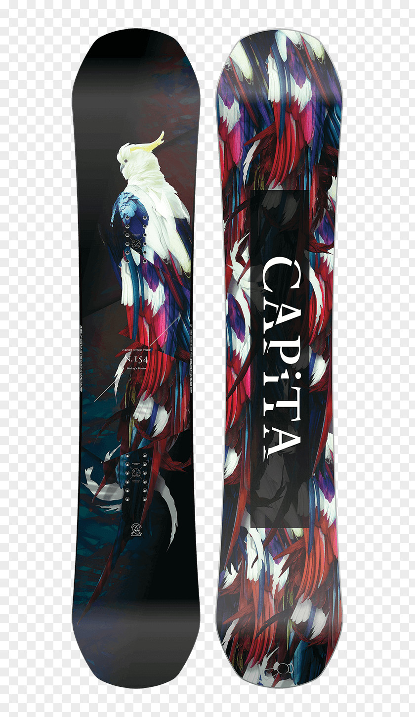 Bird Snowboard Feather CAPiTA Defenders Of Awesome (2017) Skiing PNG