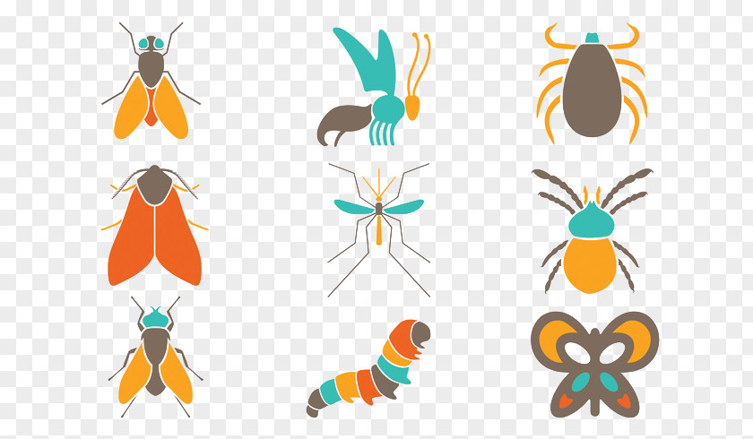 Colorful Insect Beetle Butterfly Bugs Attack Free Clip Art PNG