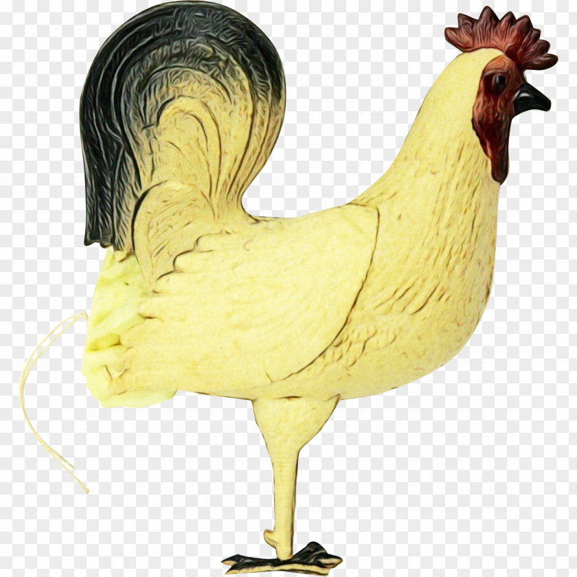 Fowl Animal Figure Chicken Bird Rooster Comb Poultry PNG